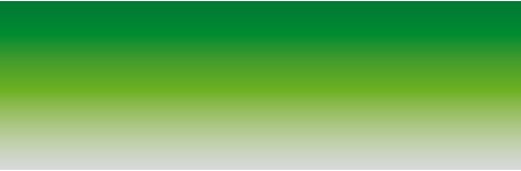 Top Line Standard - 20x150 cm - Verde