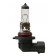 12V Lampada alogena - H12 - 53W - PZ20d - 1 pz  - Scatola