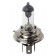 12V Lampada alogena - H4 - 60/55W - P43t - 1 pz  - D/Blister