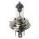 12V Lampada alogena - H4 - 60/55W - P43t - 1 pz  - Scatola