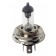 12V Lampada alogena - (H5) - 100/80W - P45t - 1 pz  - D/Blister