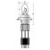 12V Xenium Race - (H4) - 90/100W - P43t - 2 pz  - Scatola Plast.