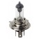 24V Lampada alogena - H4 - 75/70W - P43t - 1 pz  - D/Blister
