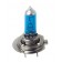 24V Lampada alogena Blu-Xe - H7 - 70W - PX26d - 2 pz  - D/Blister